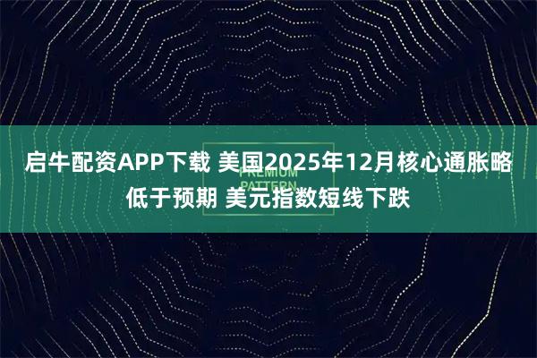 启牛配资APP下载 美国2025年12月核心通胀略低于预期 美元指数短线下跌